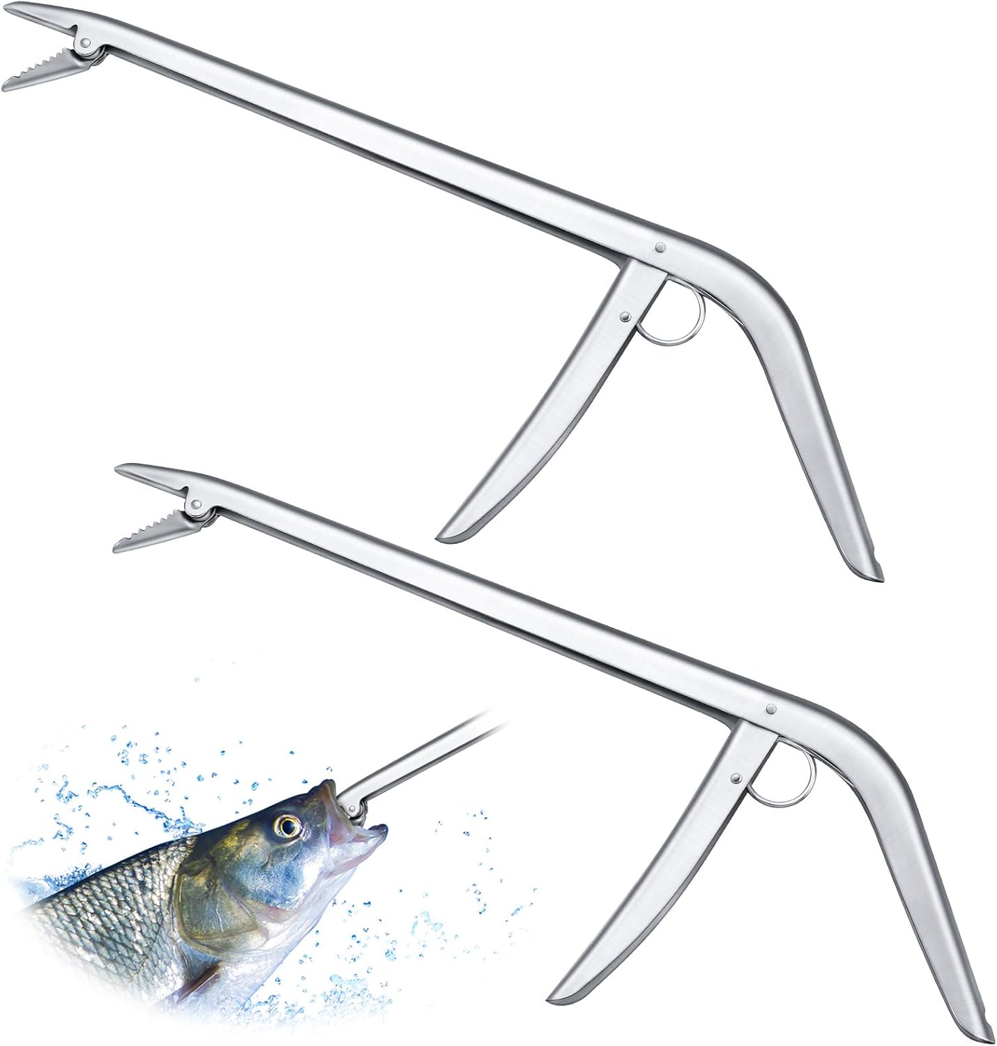 2 Pieces Stainless Steel Fish  - Fishing Hook บทวิจารณ์และราคา